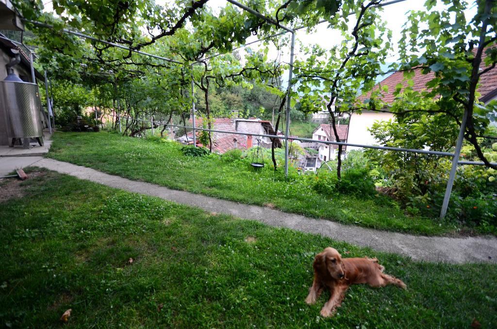 Guest House Konjic Exteriör bild